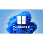 Dell Laptop Latitude 256GB SSD 8GB 12.5" Powerful Core i5 E7270 Windows 11