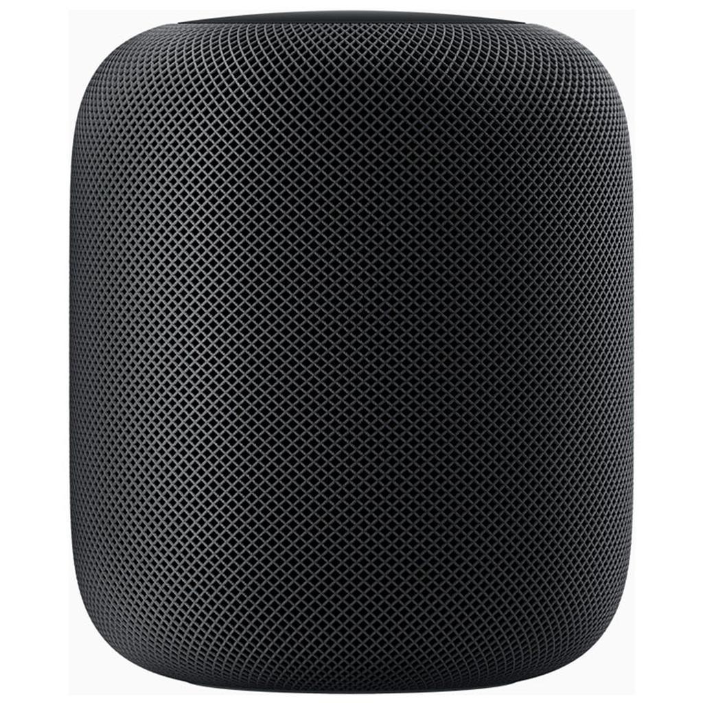 HomePods Gen. 1 Space Gray front