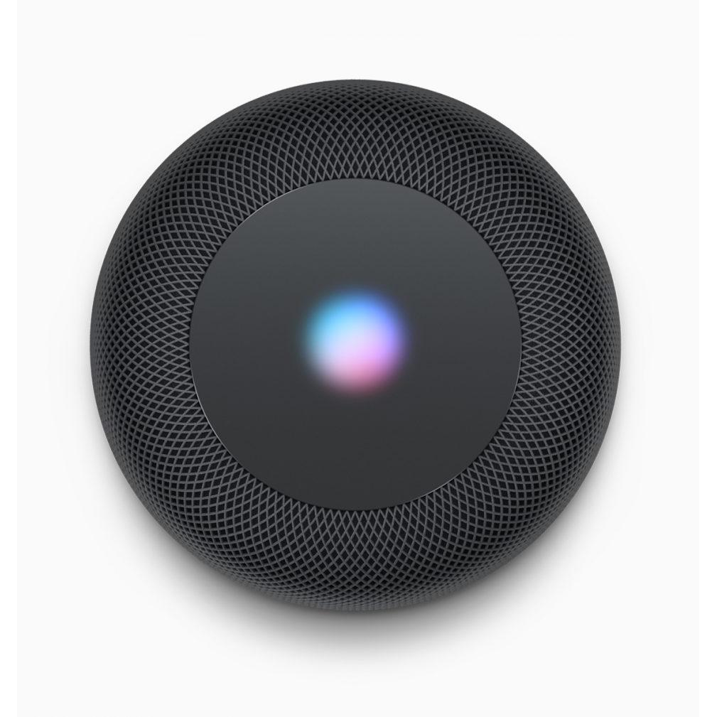 HomePods Gen. 1 Space Gray top